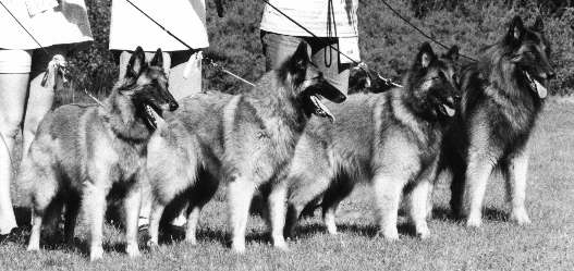 Kasvattajaluokka, erikoisn&auml;yttely 1998