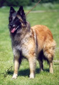 Bestseller Costa Rica