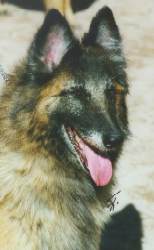 Gaia du Parc de Pathyvel